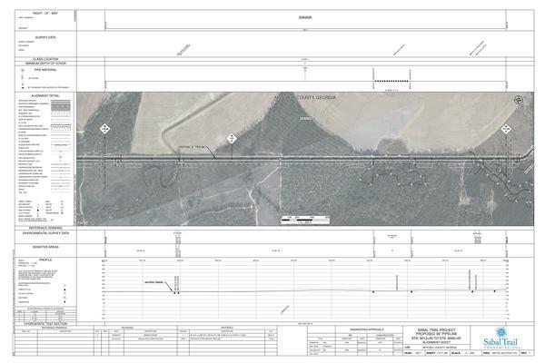 1657-PL-DG-70197-173, STA. 9012+00 TO STA. 9065+00, MP 170.68, MP 171.69, S1TRC557, MITCHELL COUNTY, GEORGIA, 31.437504, -84.082630