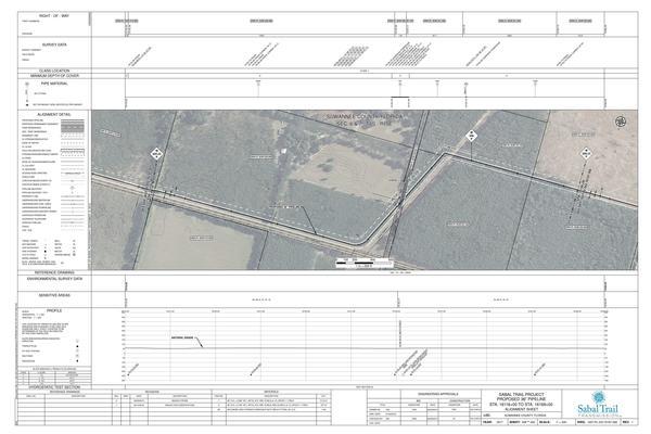 1657-PL-DG-70197-308, STA. 16116+00 TO STA. 16169+00, MP 305.23, MP 306, MP 306.23, 16146+44 CL 256TH STREET, SUWANNEE COUNTY, FLORIDA, 29.986200, -82.852282