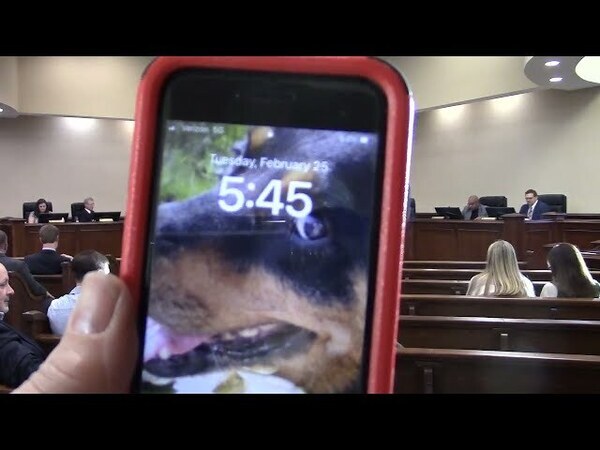 9. Meeting Adjournment