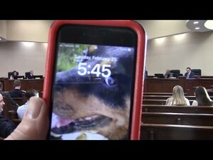 [9. Meeting Adjournment]