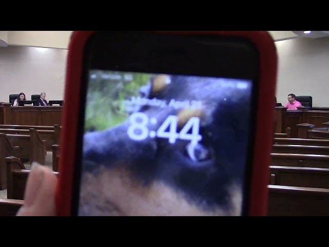 10. Meeting Adjournment