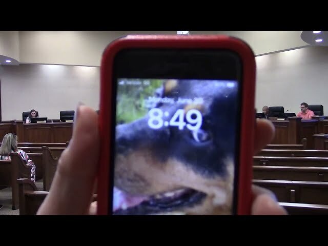 4. Other Comments and Meeting Adjournment