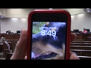 [4. Other Comments and Meeting Adjournment]