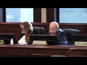 [8.a. Georgia DoT permanent easement at 503 W. Main St. Hahira, GA 31632]