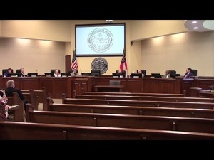 [5.c. Adoption Of Special District Millage For The Parks And Recreation]