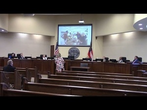 [6. Reports - County Manager - PIO gave report on bicentennial activities]