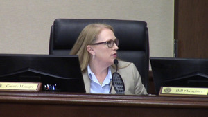 [Movie: 7. Reports – County Manager (278M)]