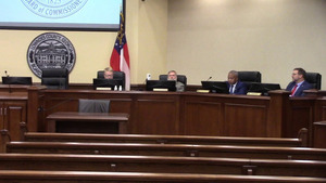 [Commissioners: Joyce Evans (absent), Scott Orenstein, Mark Wisenbaker, Demarcus Marshall, Michael Smith]