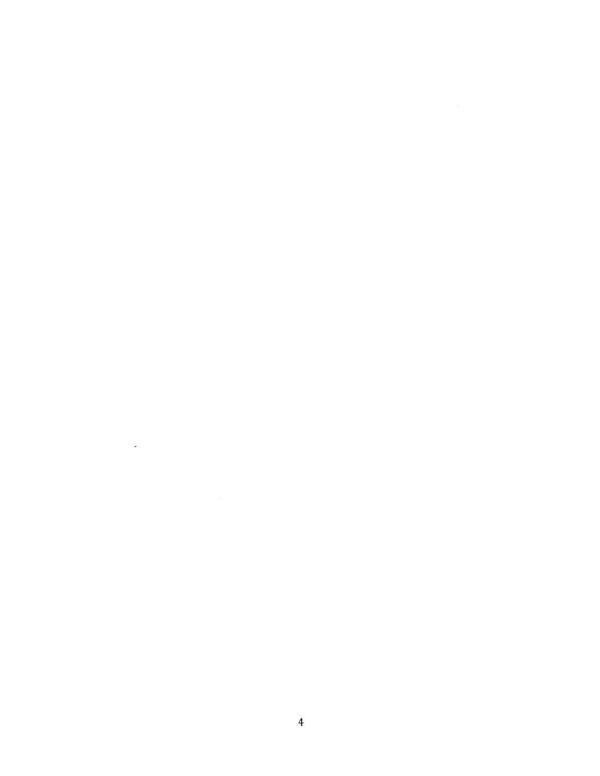 Page 13 is blank